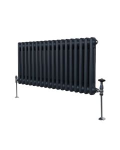 Traditionell 2-kolumns radiator - 300 x 832 mm – Antracitgrå