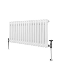 Traditionell 2-kolumns radiator - 300 x 832 mm – Vit