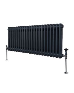 Traditionell 2-kolumns radiator - 300 x 1012 mm – Antracitgrå