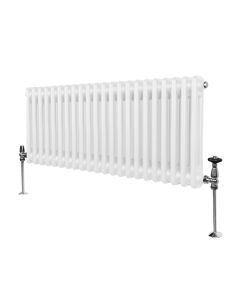 Traditionell 2-kolumns radiator - 300 x 1012 mm – Vit