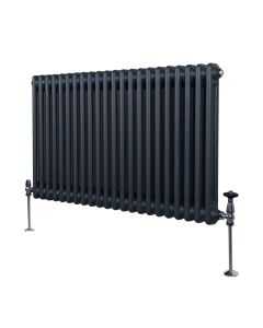 Traditionell 2-kolumns radiator - 600 x 1012 mm – Antracitgrå