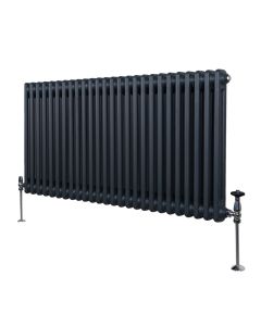 Traditionell 2-kolumns radiator - 600 x 1192 mm – Antracitgrå
