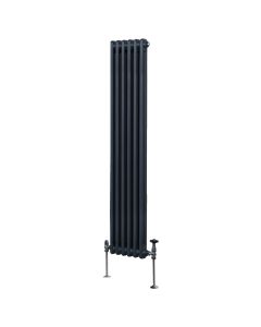 Traditionell 2-kolumns radiator - 1800 x 292 mm – Antracitgrå
