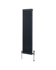 Traditionell 2-kolumns radiator - 1800 x 382 mm – Antracitgrå