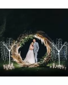 Décoration de Mariage - Combo Arche Circulaire Argentée  & 2 Saules Pleureur Lumineux 240 cm Blanc Chaud