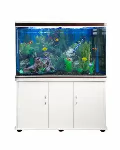 Aquarium Blanc avec Meuble de support Blanc assorti et Gravier Noir