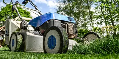Mowing The Lawn - Gardening Blog