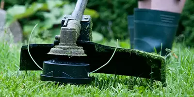 Grass Trimmer - Gardening Blog